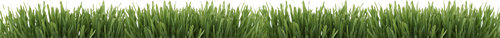grass_foreground
